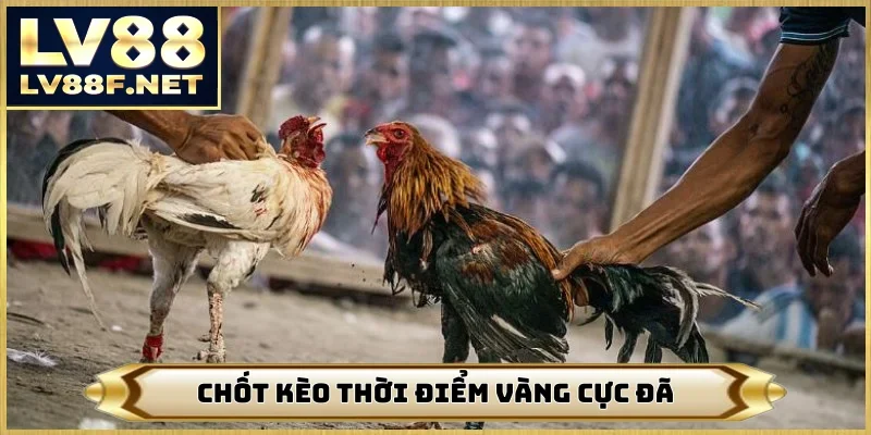 Chốt kèo thời điểm vàng cực đã