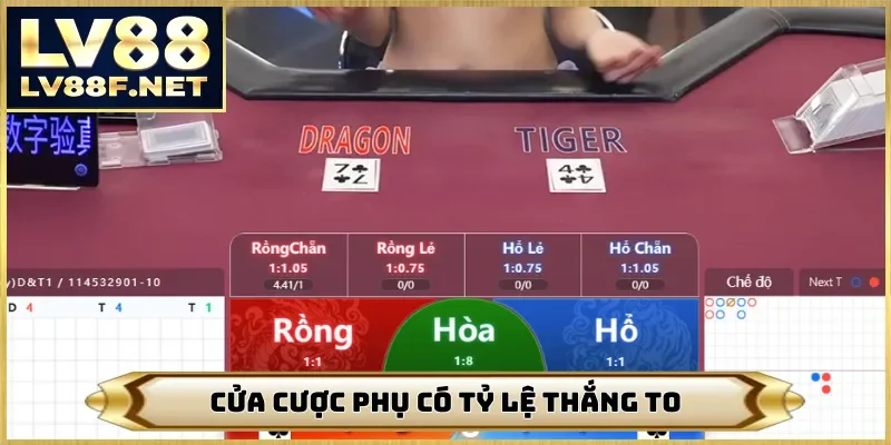 Cửa cược phụ có tỷ lệ thắng to