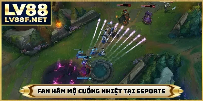 Fan hâm mộ cuồng nhiệt tại esports