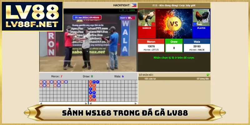 Sảnh WS168 trong đá gà LV88