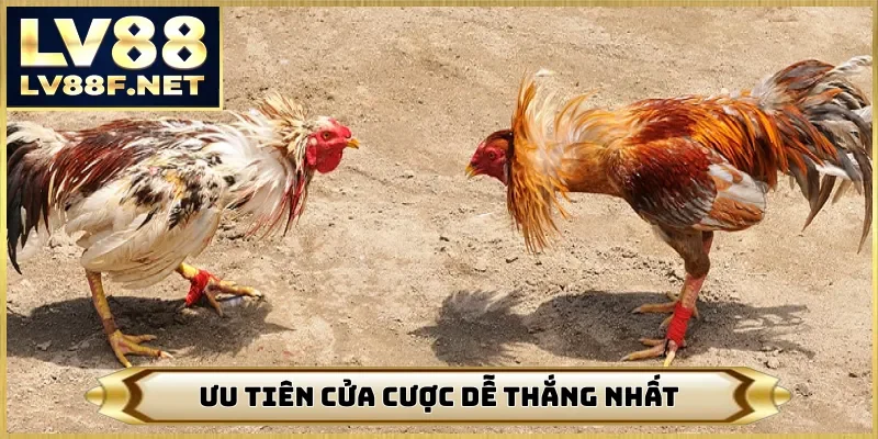Ưu tiên cửa cược dễ thắng nhất